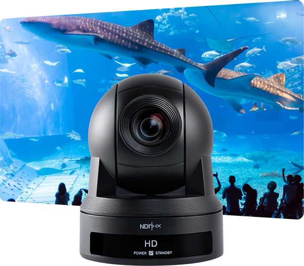 ⭐full HD DCM-HD800 動作品 full HD DCM-HD800 動作品 full HD DCM ⭐full HD DCM-HD800 動作品 full HD DCM-HD800 動作品 full HD DCM